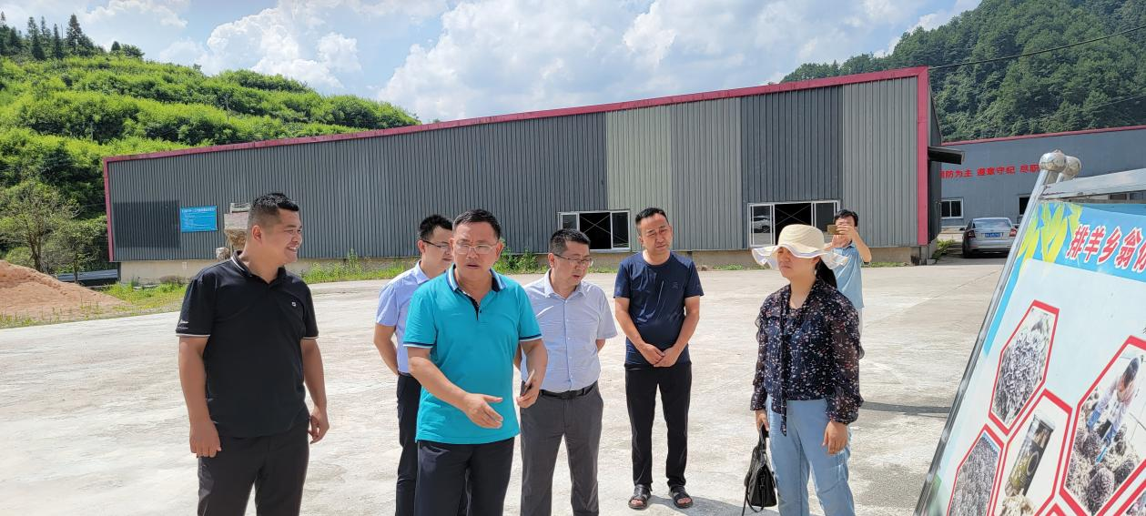 州苗侗山珍协会赴台江县排羊乡开展稻鱼种养殖树模基地授牌选址考察_黔东南州jbo竞博集团